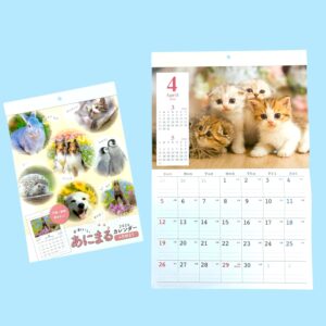 セリア　壁掛けカレンダー あにまる写真／ネコ写真